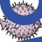 作为主要的 init